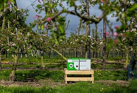 Nieuwe visie leidt tot patent op milieuvriendelijke nestkast