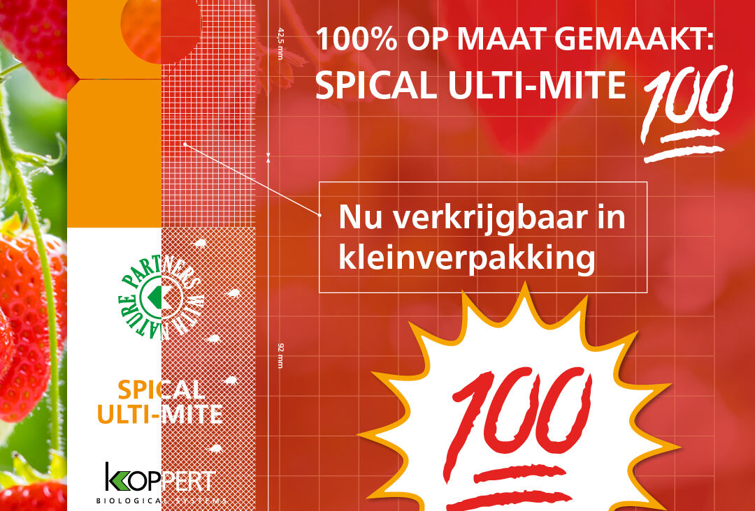 Spical Ulti-Mite in handige doos van 100 zakjes