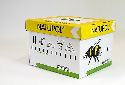 Aandachtspunten bestuiving tijdens zomerperiode