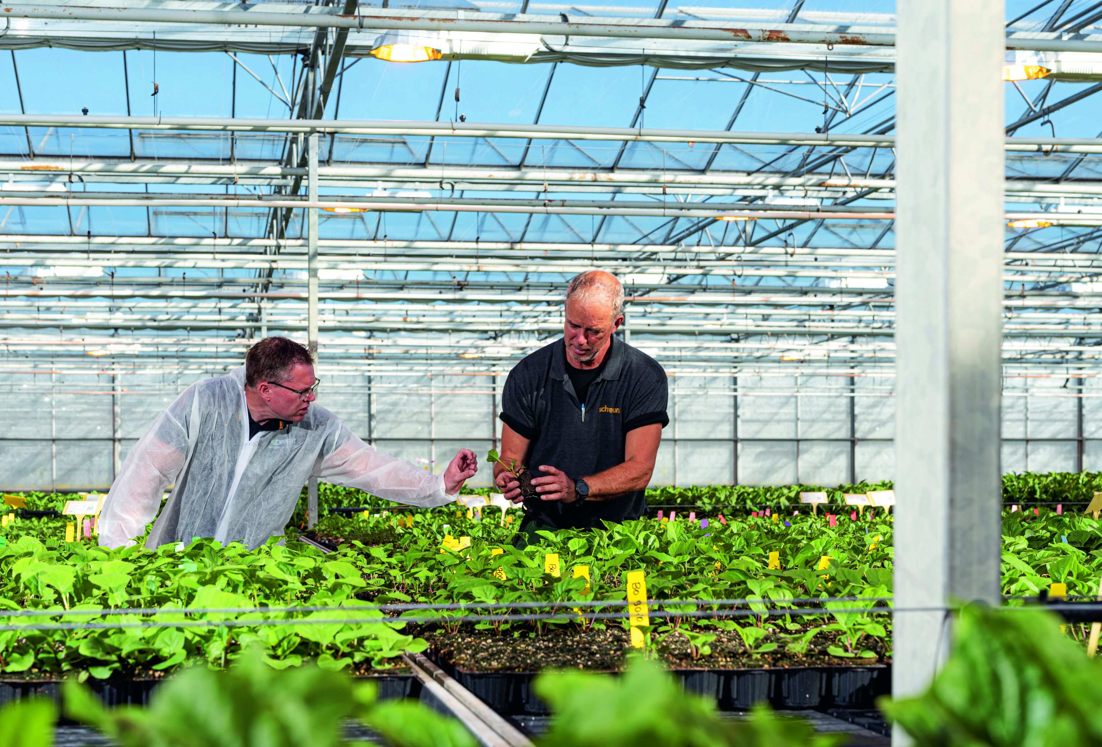 Biologische aanpak zorgt voor rust én tevreden klanten