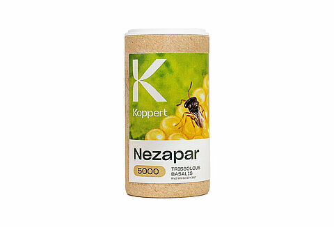 Welcome Nezapar, so long stink bug!