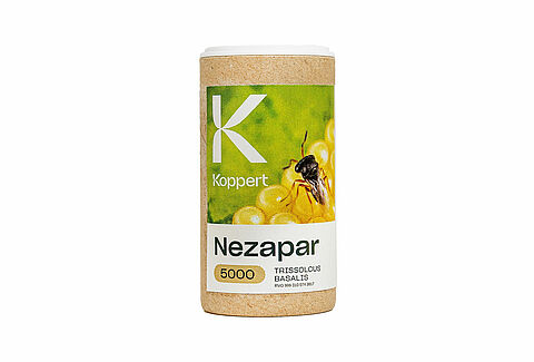 Nezapar
