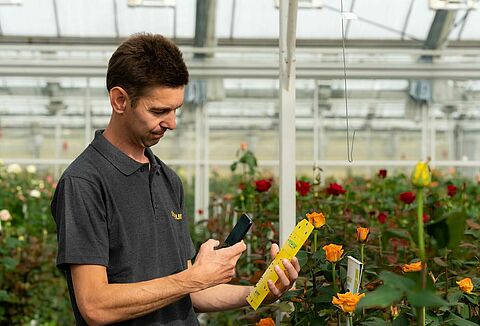 Minder gebruik van chemische bestrijdingsmiddelen dankzij Natutec Scout