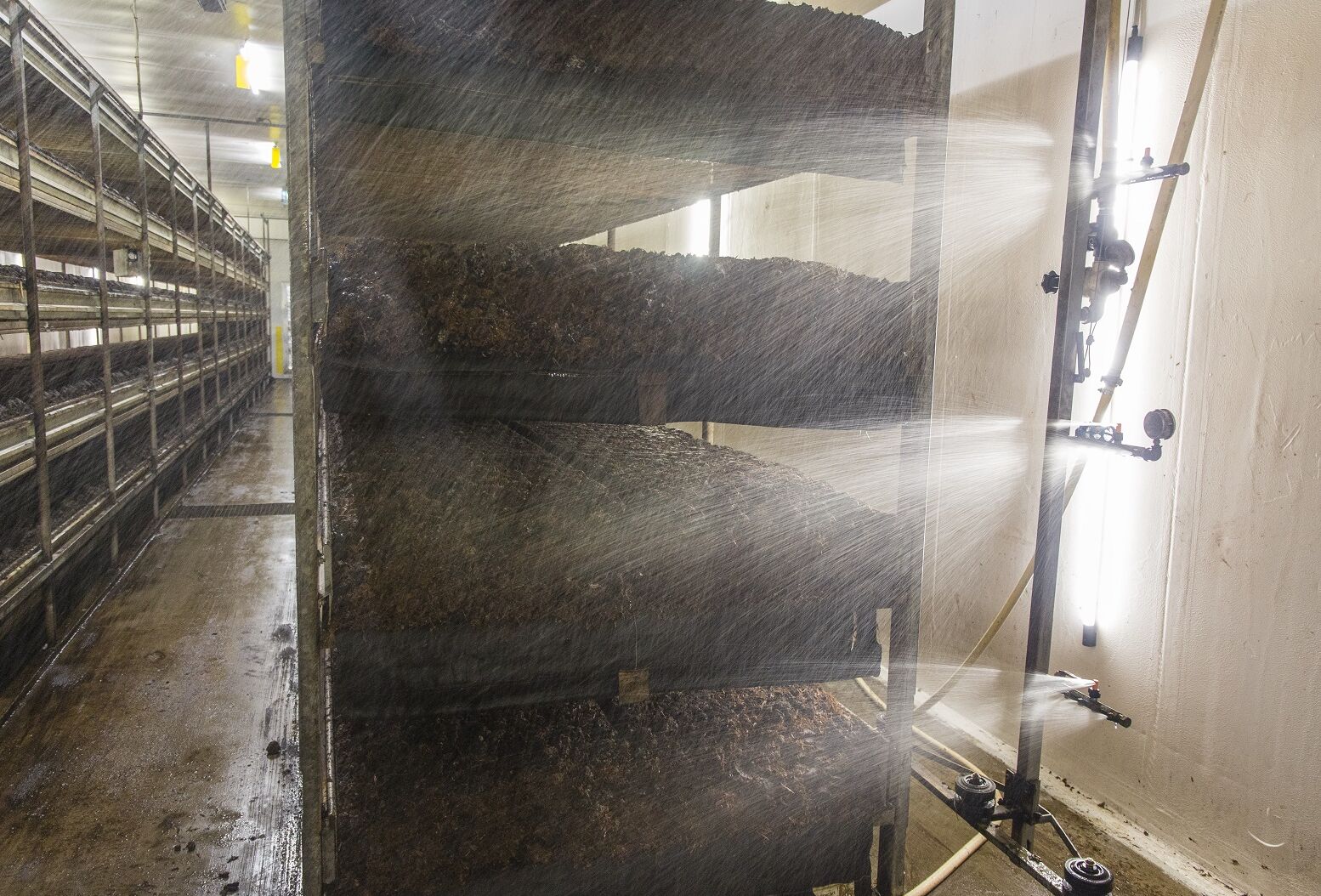 Scia-Rid houdt champignonmug doeltreffend onder de duim