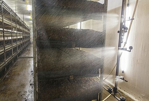 Scia-Rid houdt champignonmug doeltreffend onder de duim