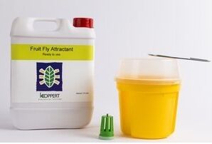 Drosophila suzukii nu effectief weg te vangen