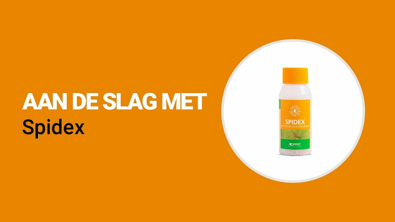 Aan de slag met Spidex van Koppert