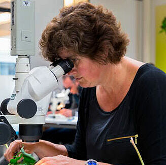 Extra cursus Entomologie