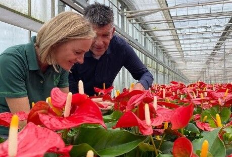 Biologische tripsaanpak in Tinte