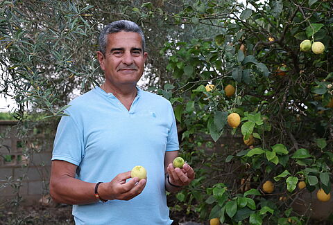 De reis van de duurzame citrusteelt in de landbouw