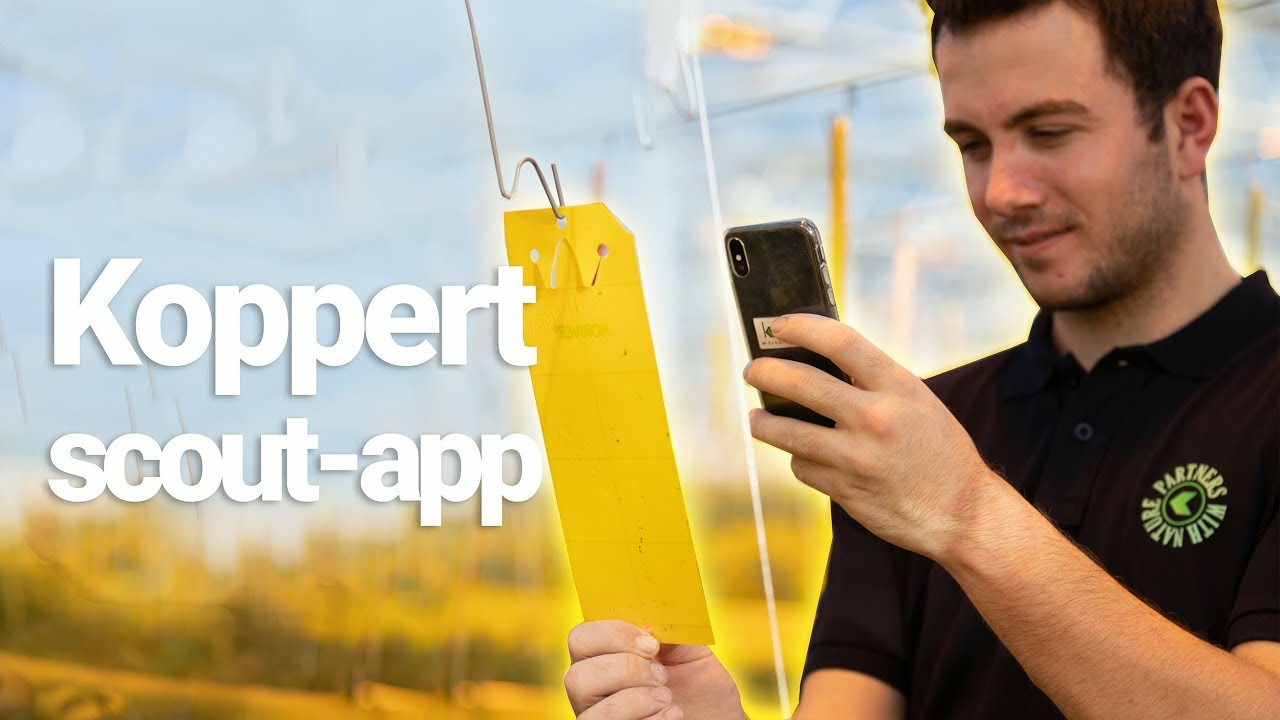 Koppert scout-app