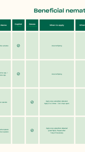 Target pests of beneficial nematodes in Soft Fruits