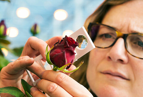 Goed blijven scouten