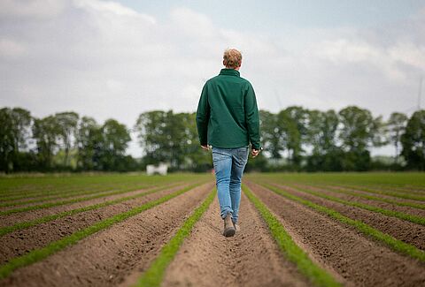 Biologische gewasbescherming: plaag- en ziektebestrijding met minimale tot geen risico's op resistentie