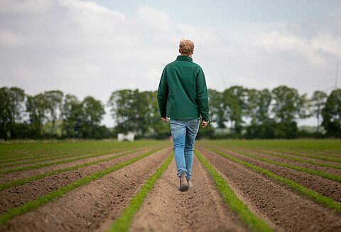 Biologische gewasbescherming: plaag- en ziektebestrijding met minimale tot geen risico's op resistentie