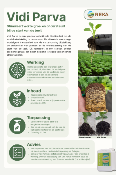Vidi Parva - Flyer