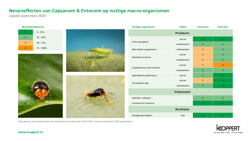Bijwerking van Capsanem & Entonem op gunstige macro-organismen