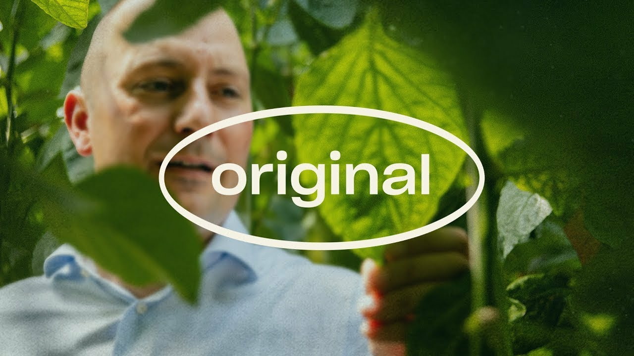 René Koppert vertelt hoe onze reis verder ging - Originele verhalen over roofmijten