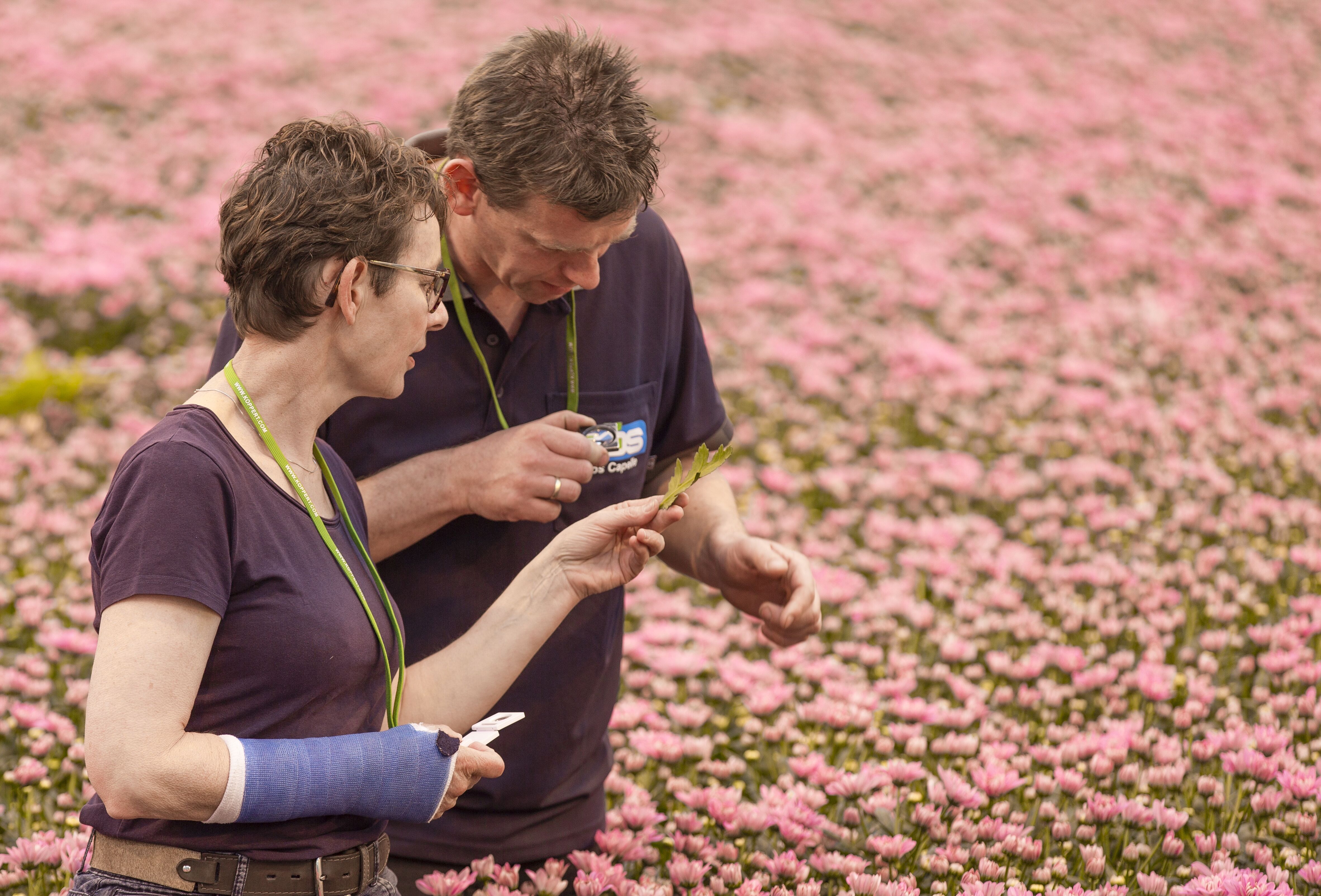 Linflowers wil de kast met chemie jaarrond dichthouden