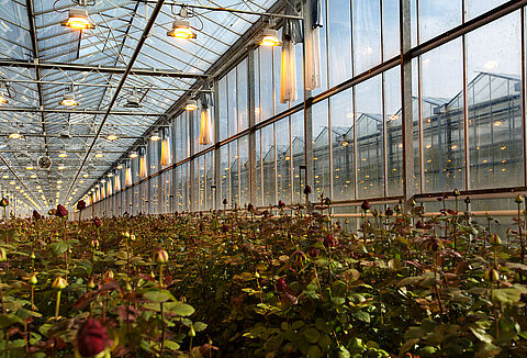 Er kan er maar 1 op nummer 1 staan