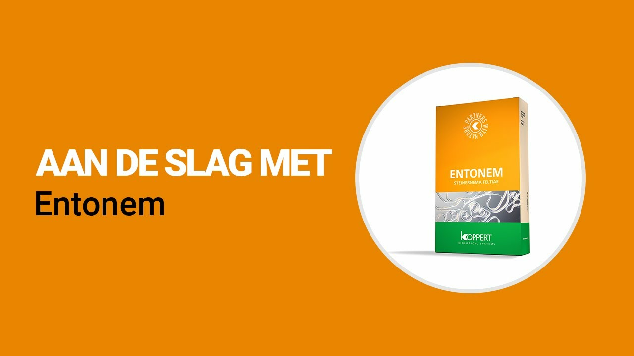 Aan de slag met Entonem Aan de slag met Entonem