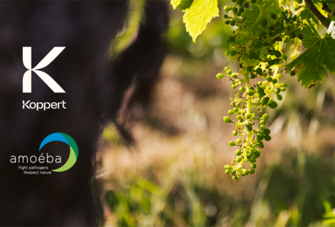 Koppert en Amoéba tekenen belangrijke distributieovereenkomst