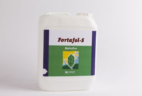 Fortafol in zachtfruit