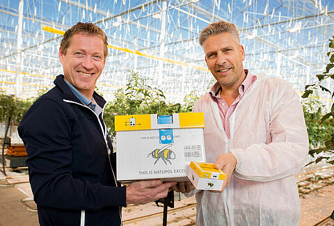 Hommels vinden de weg dankzij een doorbraak in het nieuwe Koppert-bestuivingsassortiment