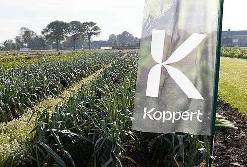 Koppert presenteert biologische gewasbeschermingsoplossingen op Potato Europe en Bejo Open Dagen 2025