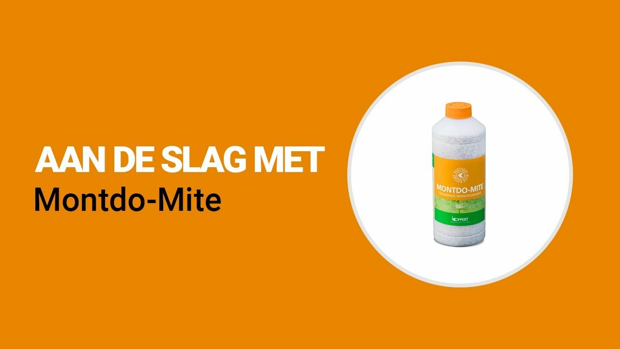 Aan de slag met Montdo-Mite van Koppert