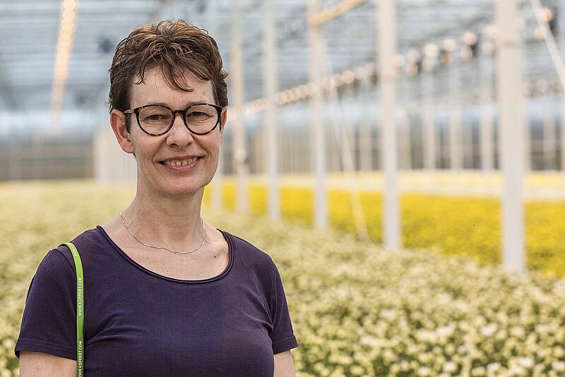 Ellen_Klein__chrysantenproject-01_-_MGL6828-2.jpg