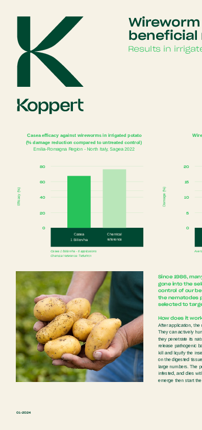 Bestrijding van draadwormen in aardappelen