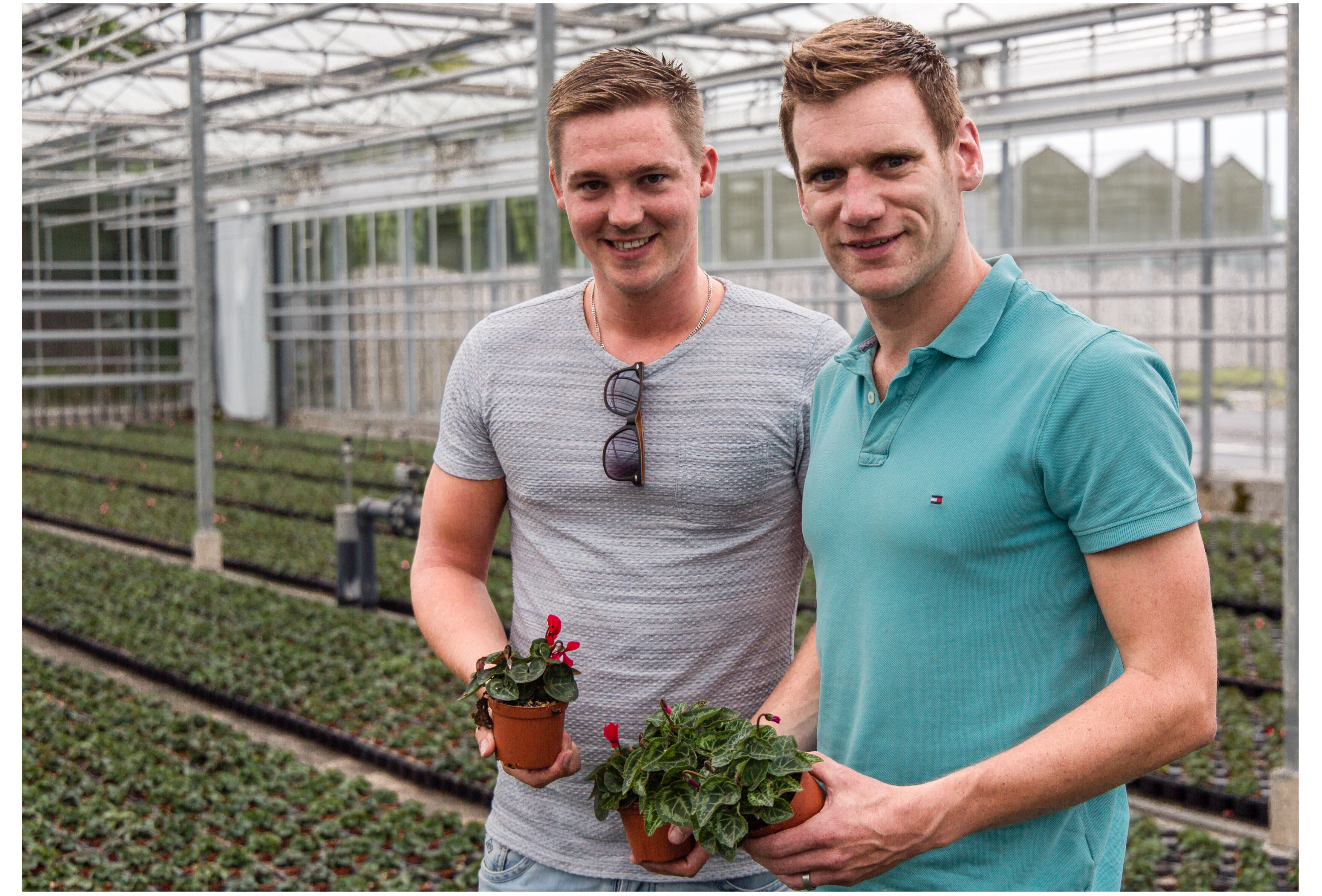 Van der Valk PatioPlant: full speed verder met de biologische gewasbescherming