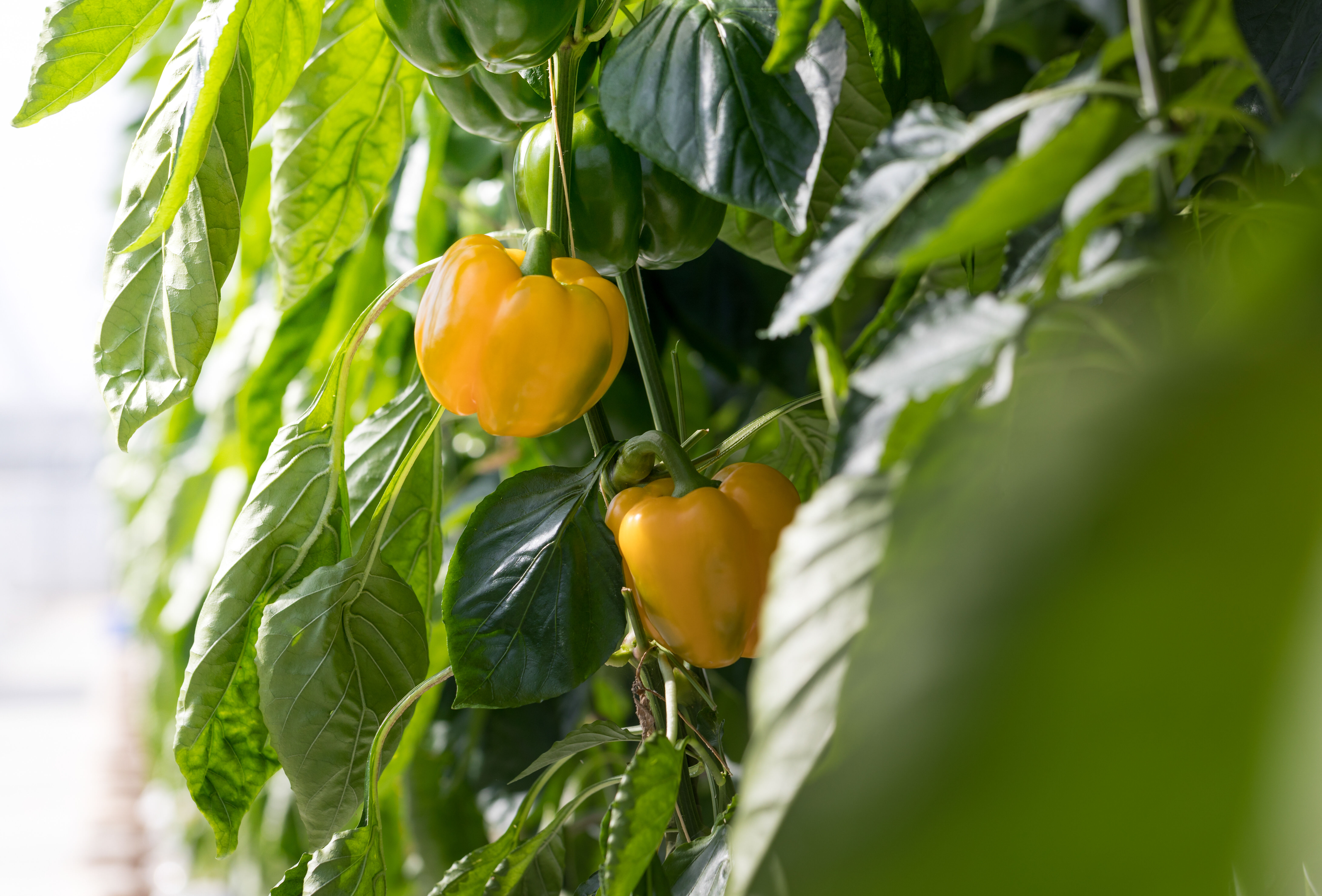Op zoek naar evenwicht en oplossingen