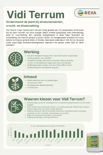 Vidi Terrum - Flyer