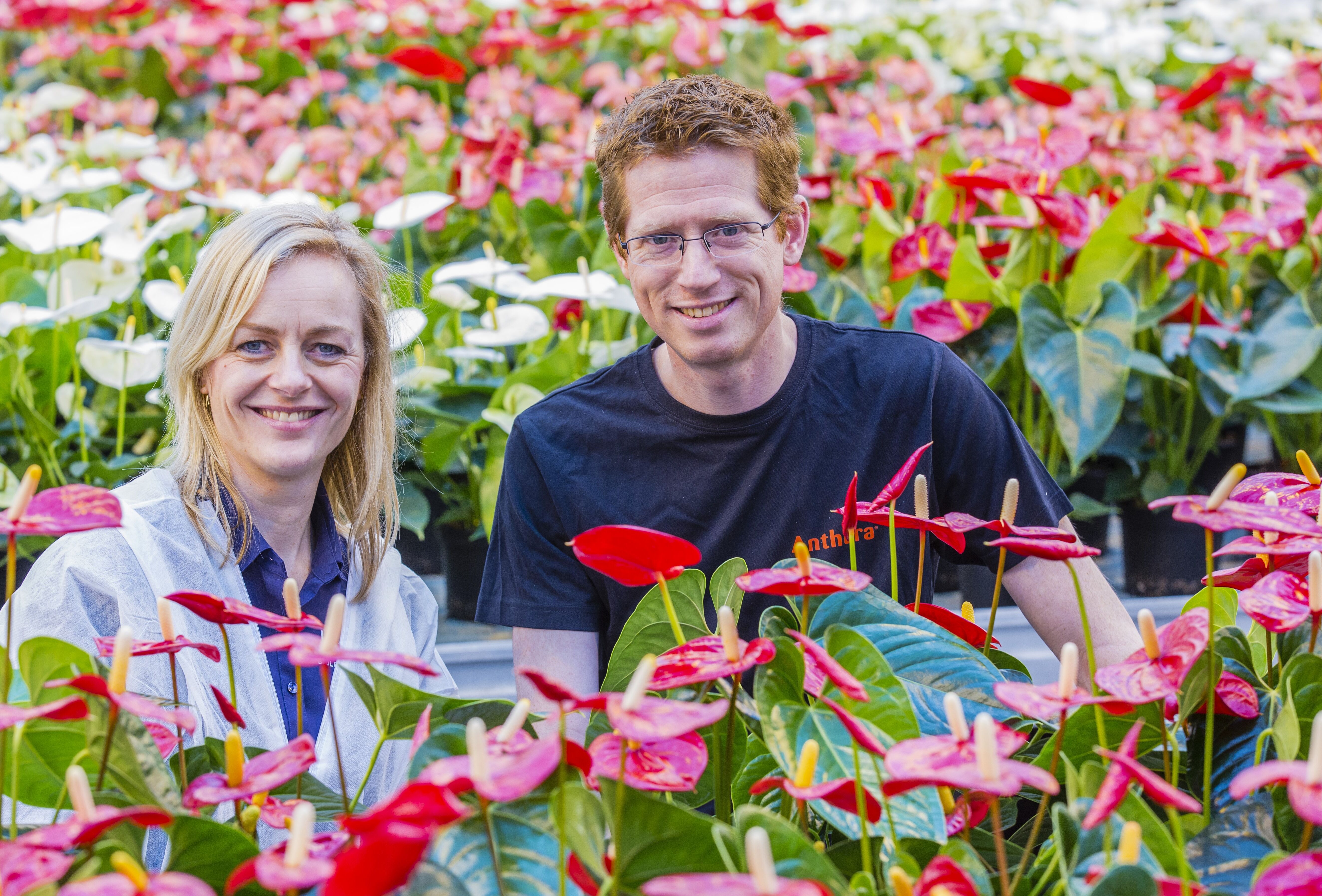 Anthura zet alles op alles tegen de luizen