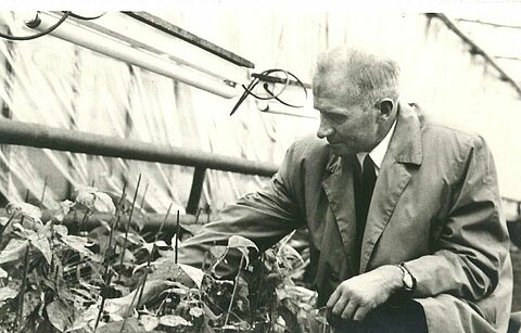 Van pionier naar marktleider: Koppert viert vijftigjarig bestaan