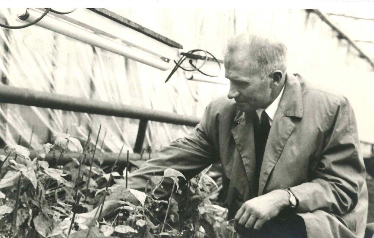 Van pionier naar marktleider: Koppert viert vijftigjarig bestaan