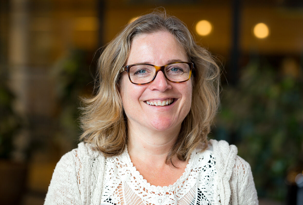 Hollandse bloemen in een positief daglicht?