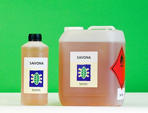 Drosophila suzukii ook in sierbessen