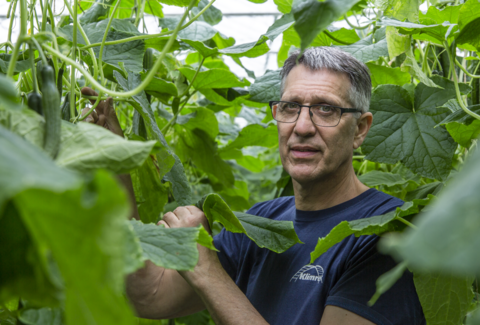 Spidex Vital maakt zijn beloften waar
