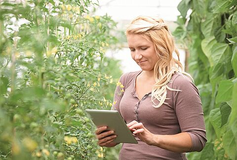 Geïntegreerde plaagbestrijding nu ook op uw mobiele telefoon
