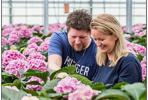 "Limonica tegen Thrips setosus ontzorgt mij"