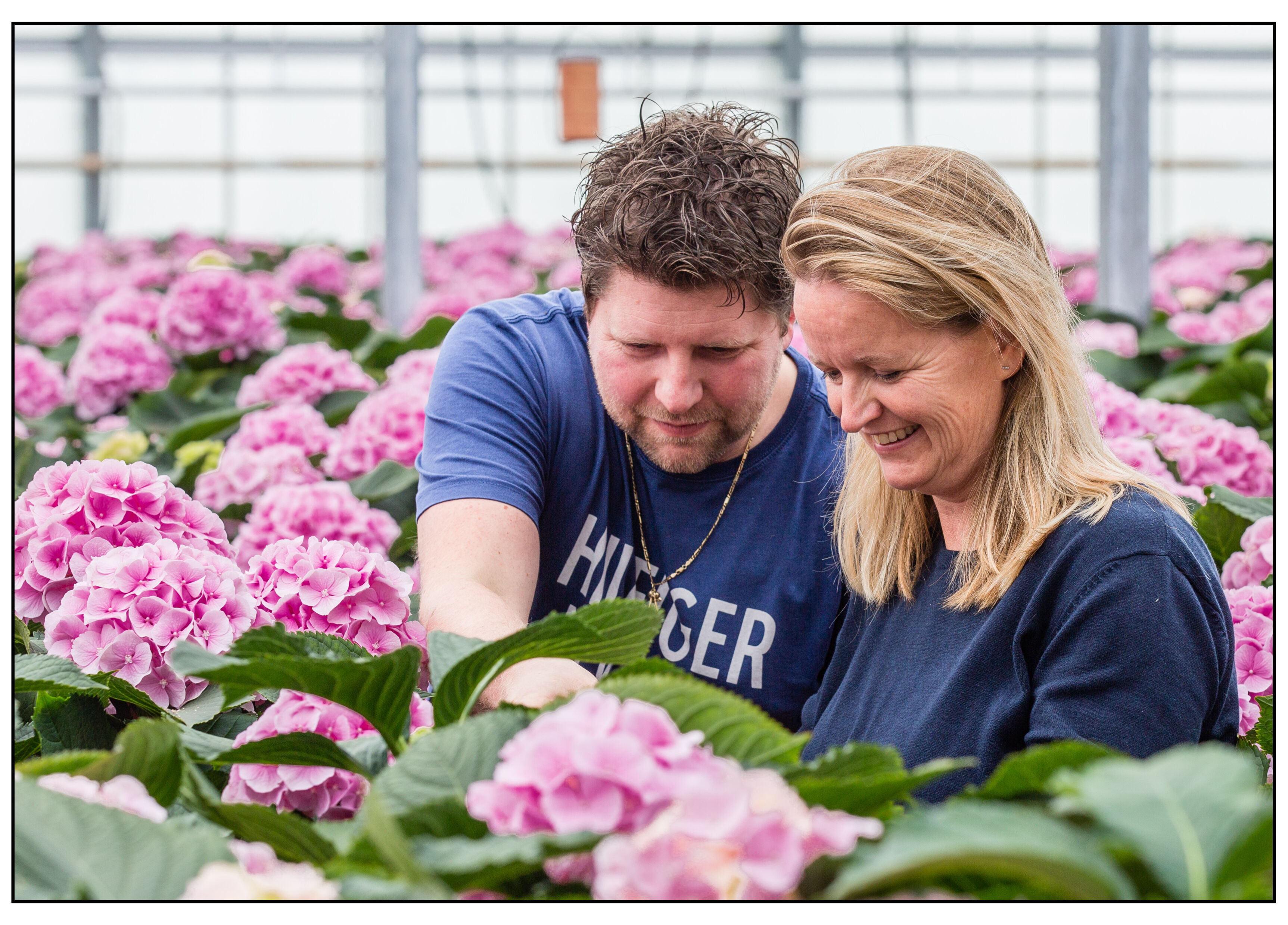 "Limonica tegen Thrips setosus ontzorgt mij"