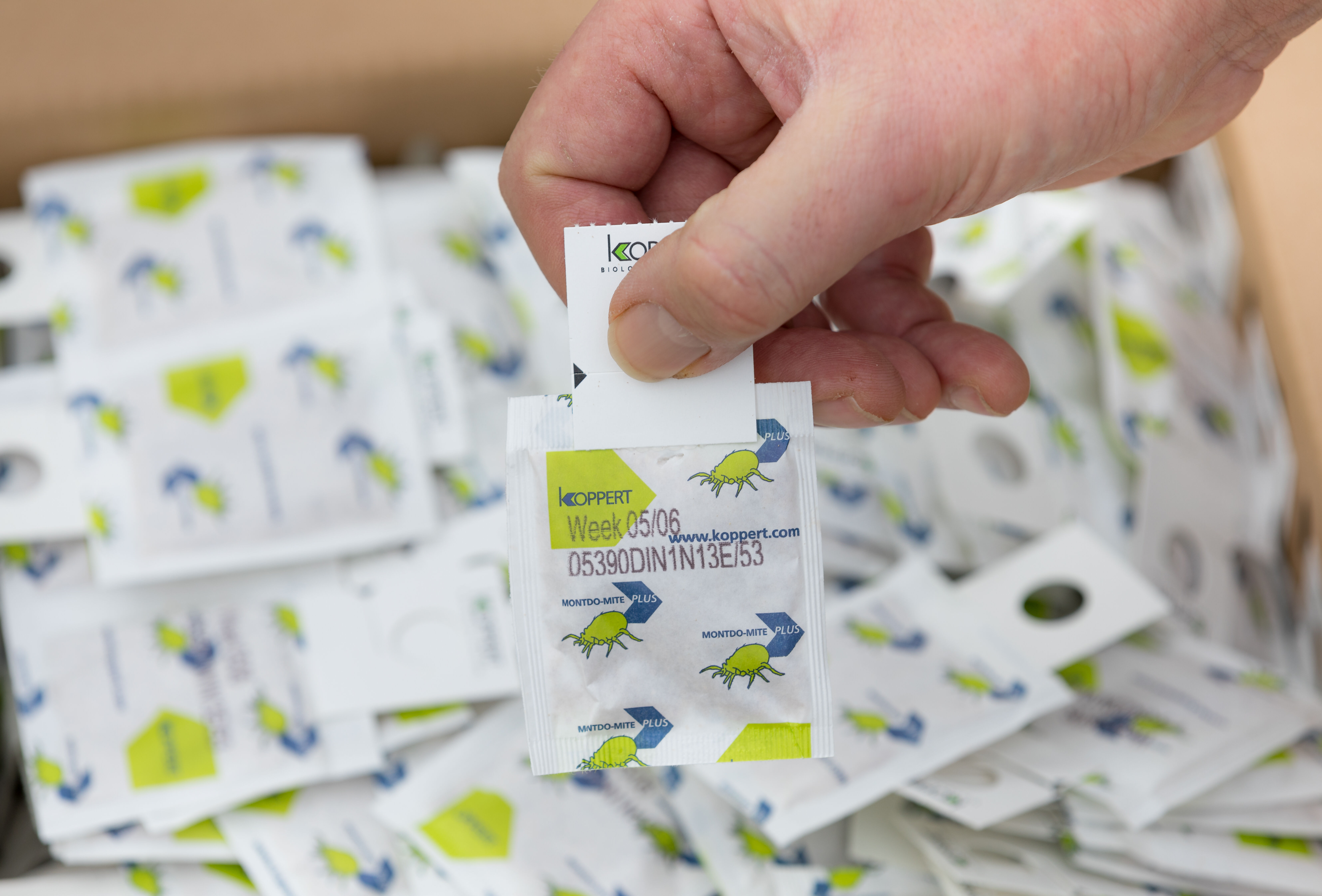 Verstevigd haakje voor alle roofmijtensachets