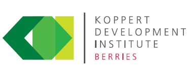 KDI zal 'berries' sector in Mexico een innovatieve boost geven