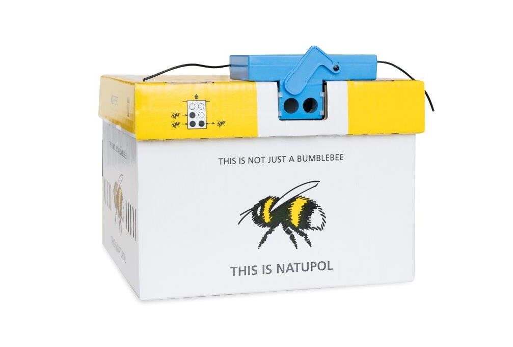 Wireless Beehome: vervang tijdig de batterijen