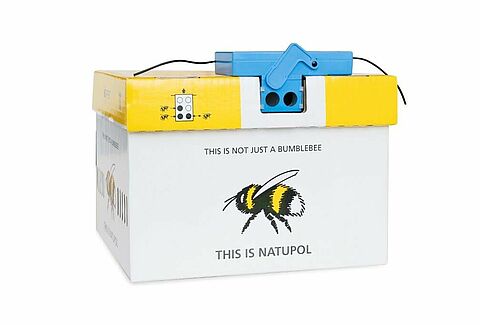 Wireless Beehome: vervang tijdig de batterijen