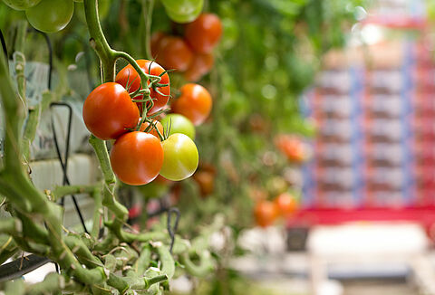 Voorkom virussen, investeer in hygiëne