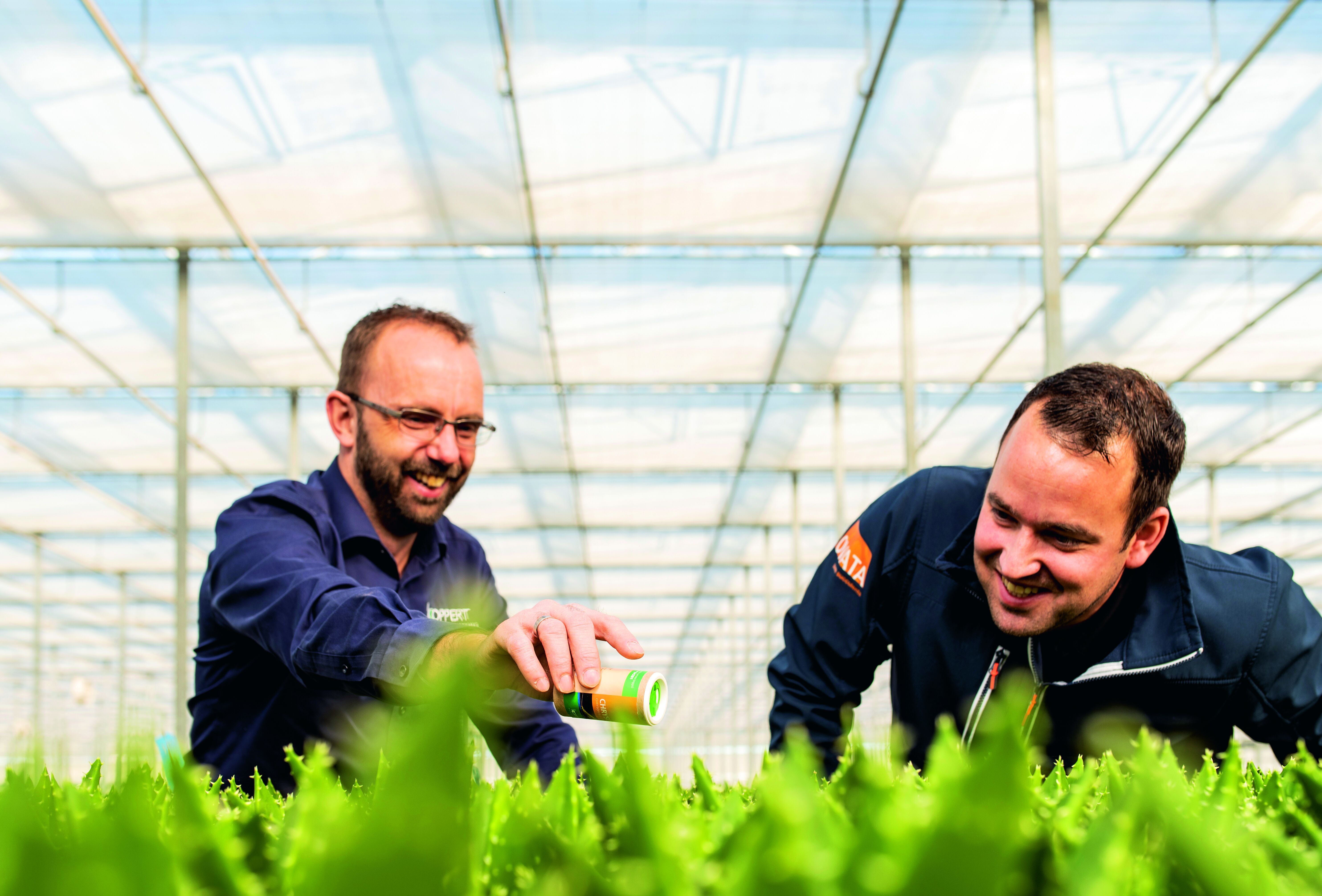 'Binnen twee weken zagen we trips niet meer'